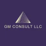 GM CONSULT LLC