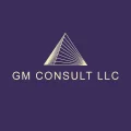 GM CONSULT LLC GM CONSULT LLC