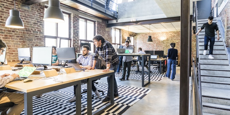 Հայաստանի ստարտափ էկոհամակարգը. ինչպիսի՞ն է աշխատանքը վաղ փուլի ընկերությունում